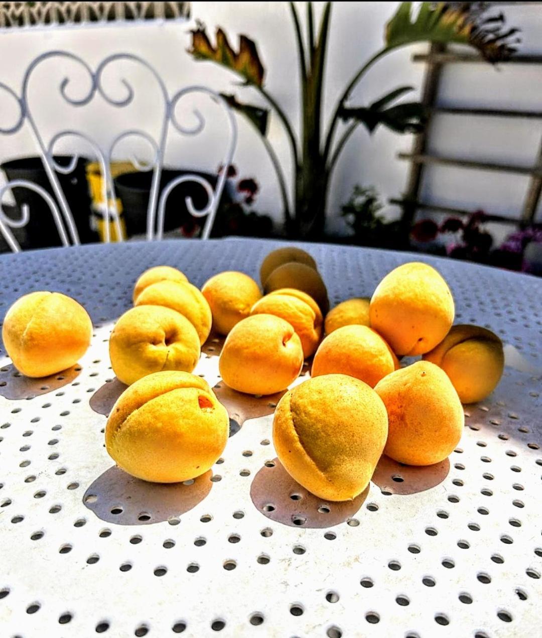 Casa Dei Frutti Di Ostuni Leilighet Eksteriør bilde